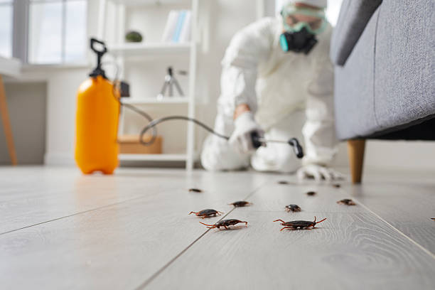 Trusted Cockroach Control service in Roan Mountain, TN - Nex Pest Control