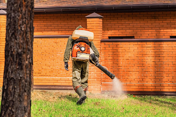 Trusted Bed Bug Control service in Roan Mountain, TN - Nex Pest Control